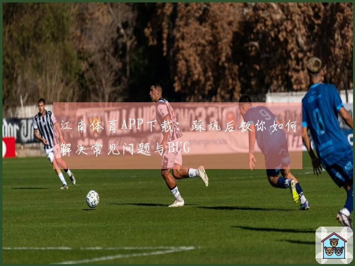 江南体育APP下载：踩坑后教你如何解决常见问题与BUG